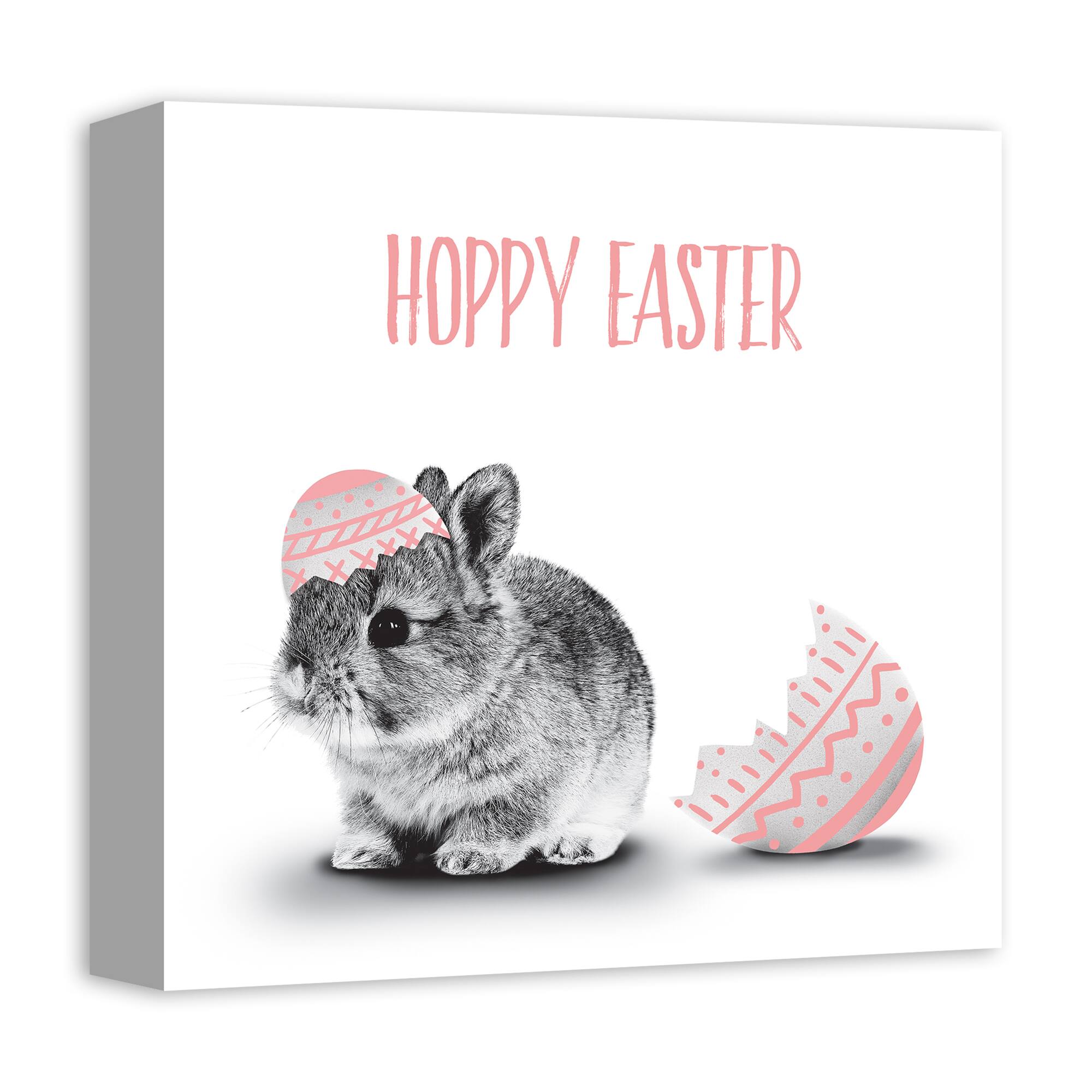 Hatched Bunny Canvas Wall Art